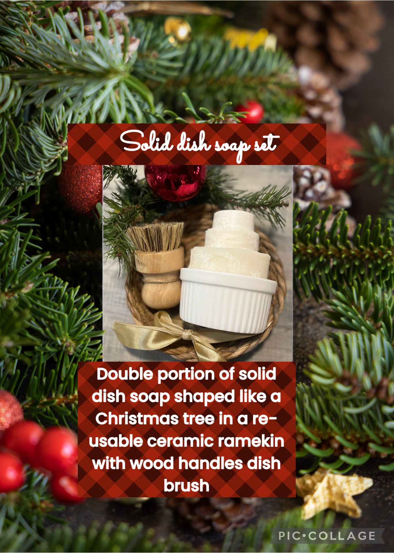 Solid dish soap & dish brush gift set